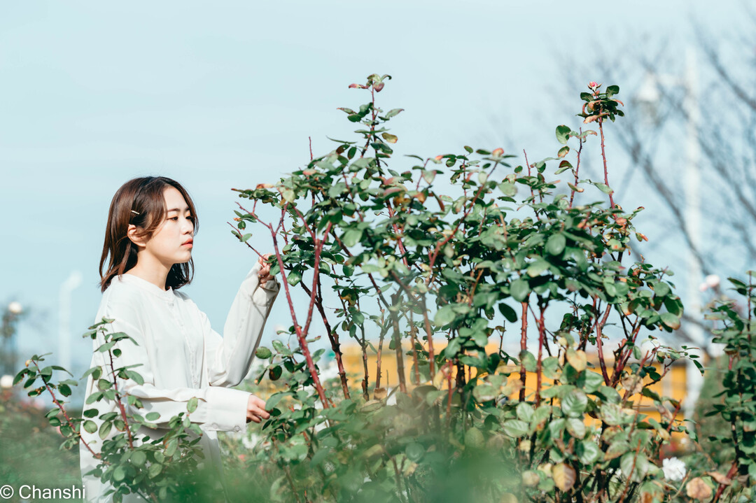 Thumb 874ba2b2 0238 4102 947c b7cafe3d42ca