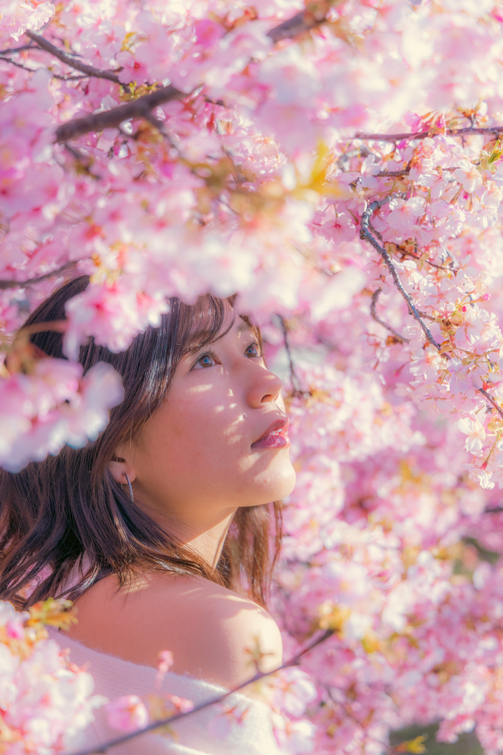 Thumb 77ecea89 5837 4fe1 b859 9a40ca44adcf