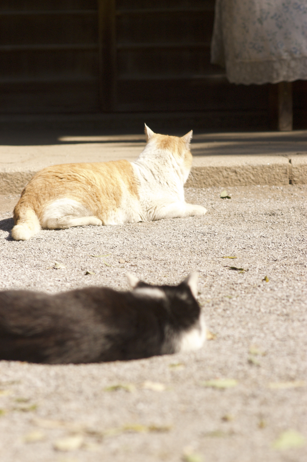 Thumb 427cc865 8c2b 4f24 b037 6db07c09f383