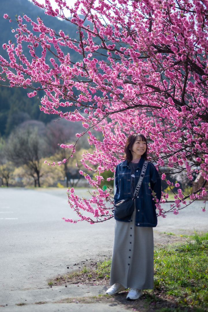 Thumb d9035793 d7c5 436a b0ed dc84e4258a0e