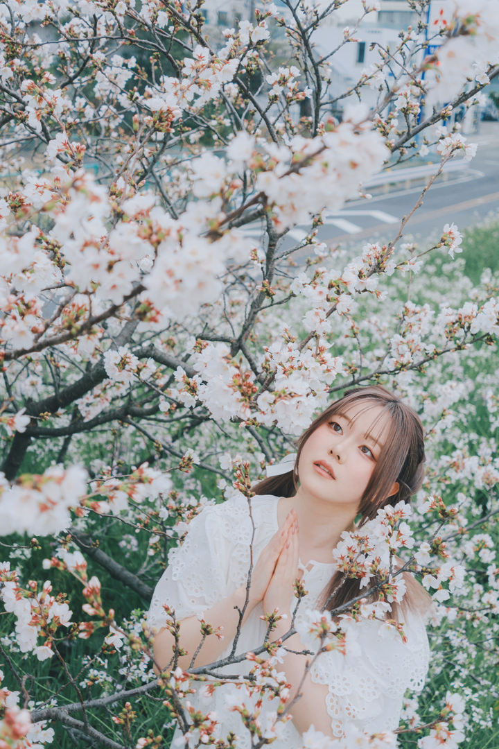 Thumb 5c0cad10 66e3 4b47 8dda eec53829a295