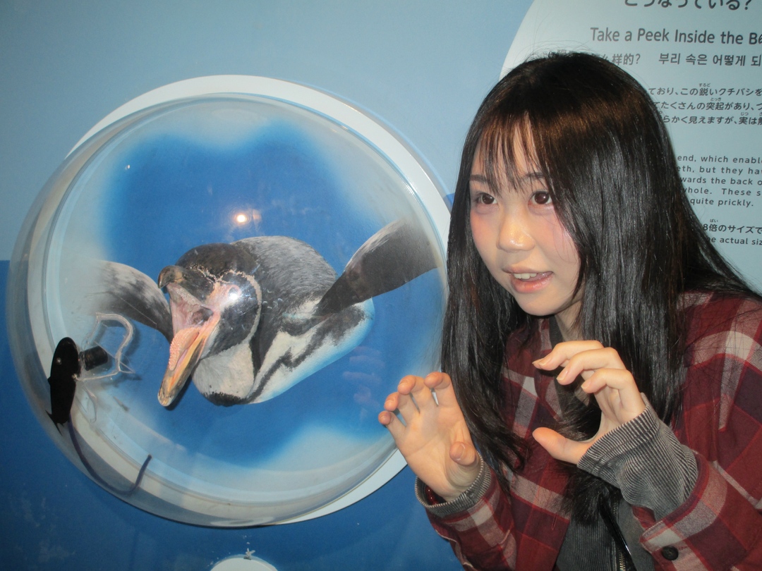 Thumb a40c94da 6e3c 4581 b28d e9e4a3decf84