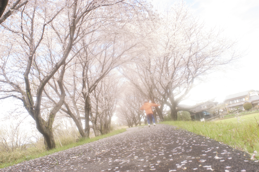 Thumb 9c12f3b6 a975 47a0 90ab 68c48c4ee935