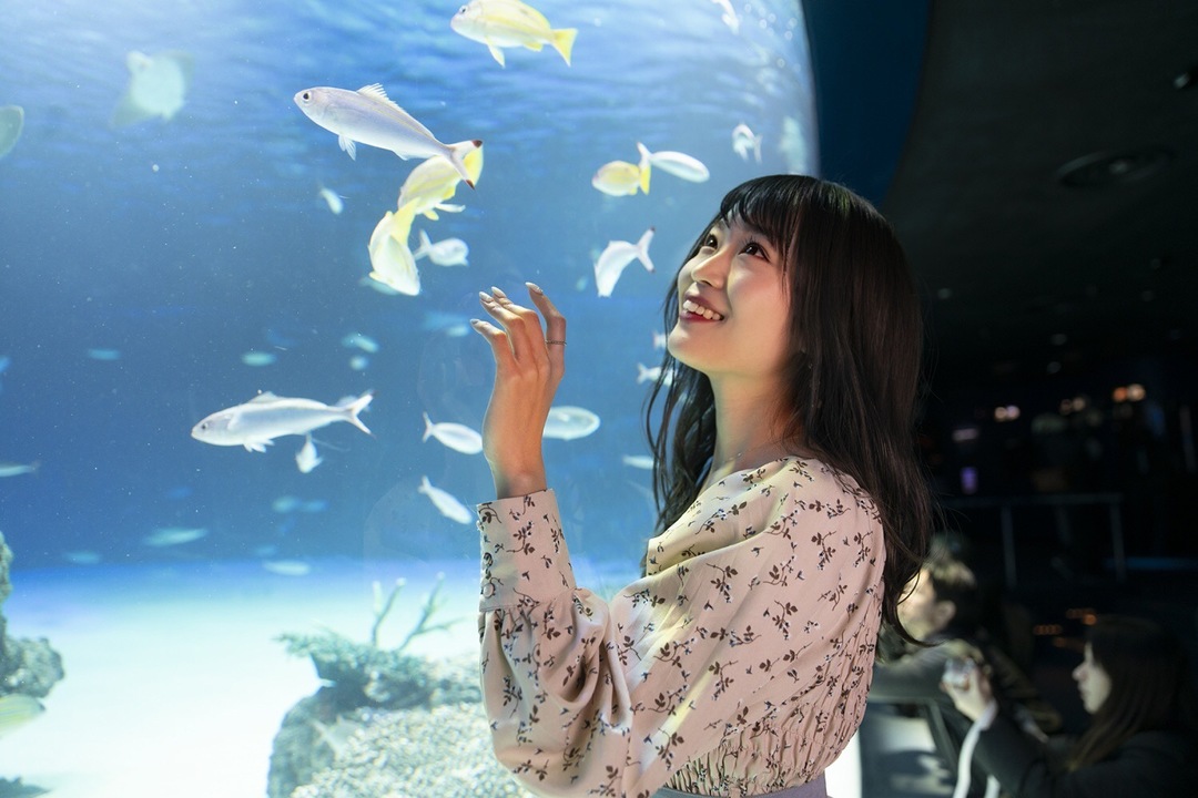 Thumb f22ff51a ddf9 434c b11d df4939292970