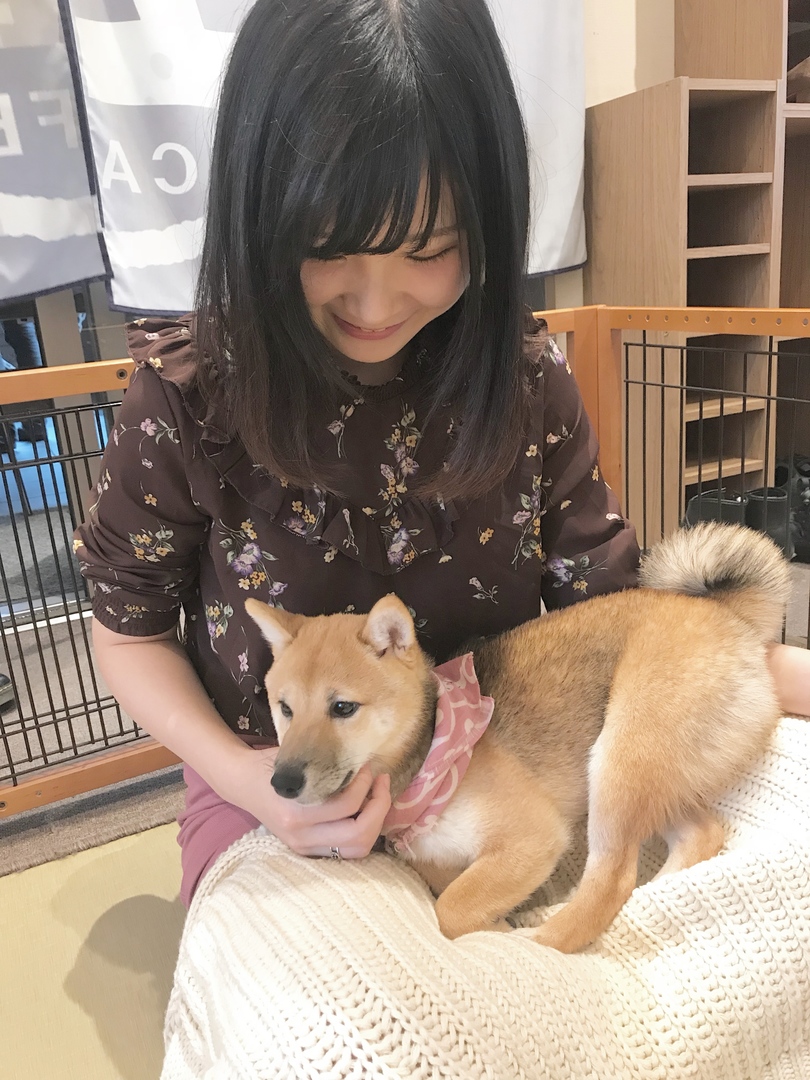 Thumb 3cf71768 adf4 43b8 a42d 9d637e7465cf