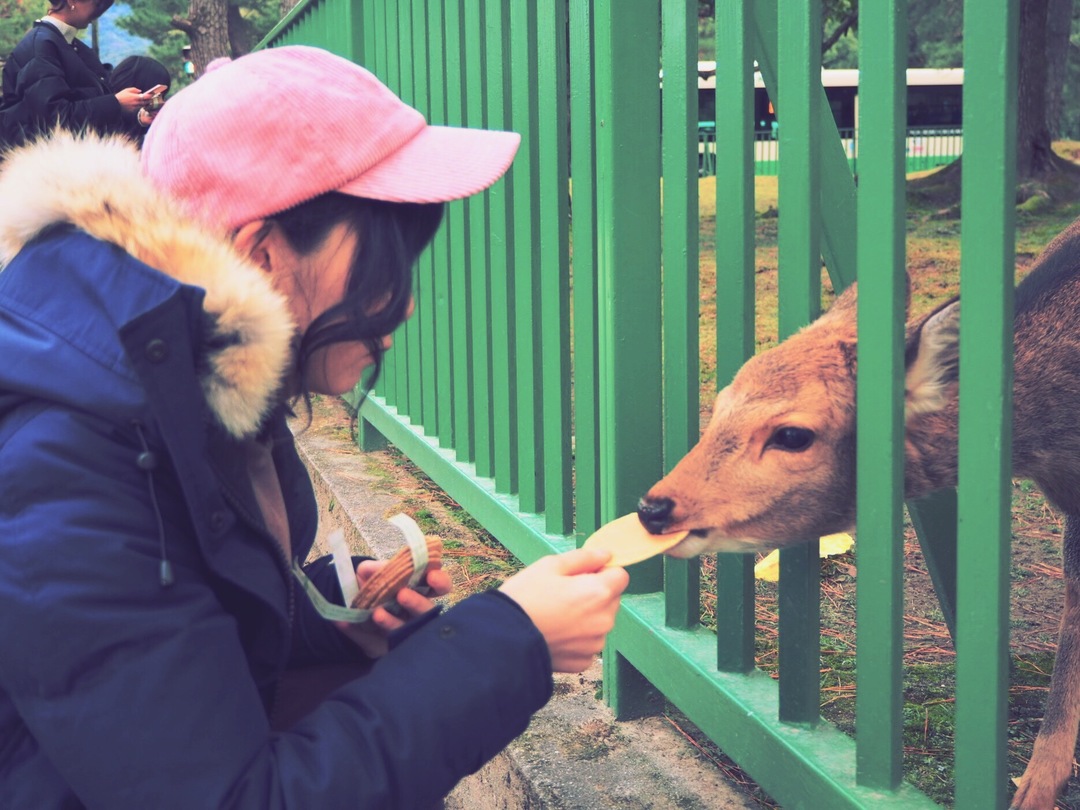 Thumb 7b0dc1e3 11d1 4ab4 bce0 48a33afdc80d