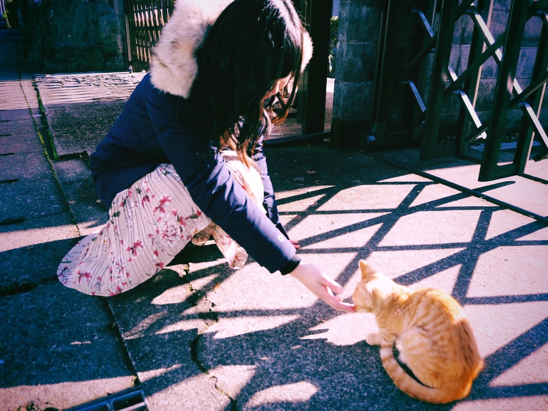 Thumb 9f9ba4f5 2921 4d43 912f 526204dbc691