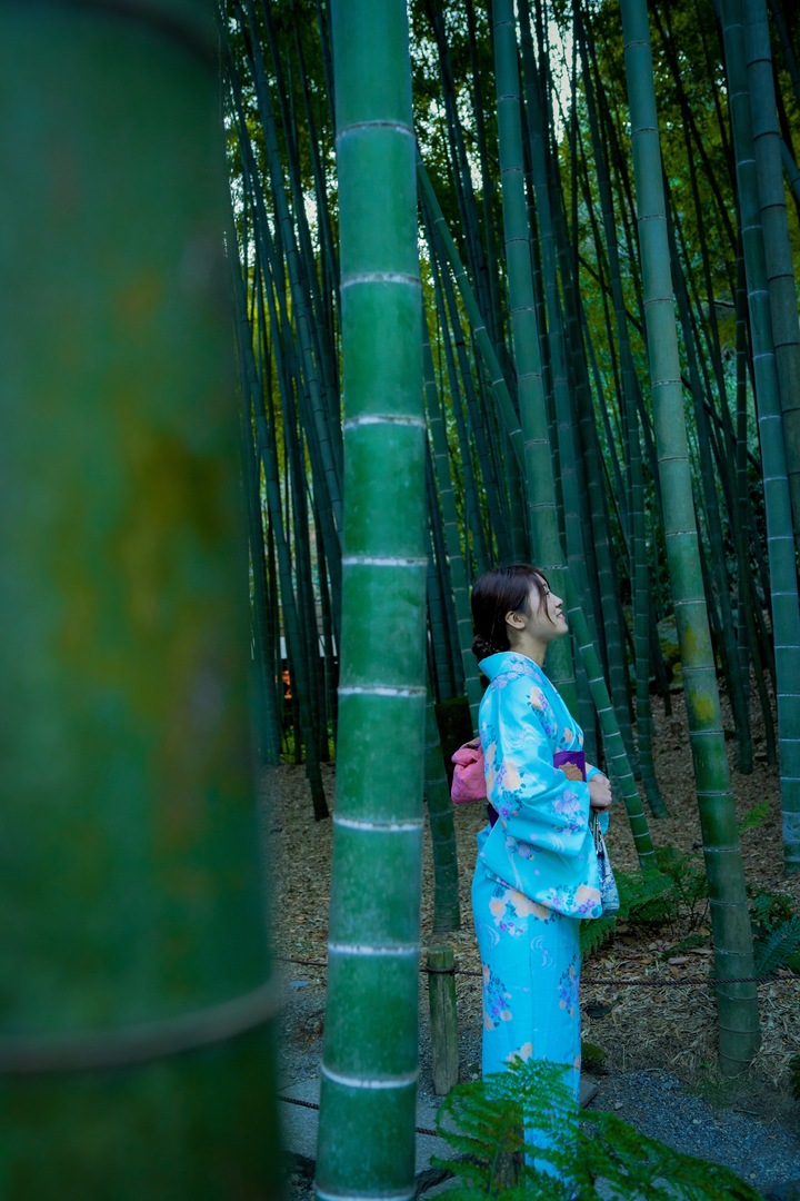 Thumb bd0a5708 25e3 402e 893d e6f1726cb475