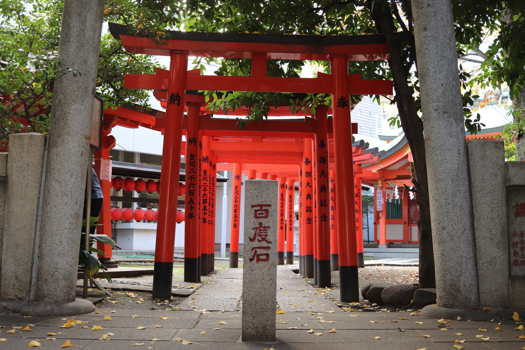 Thumb 90ebfc94 e9ac 45fb b3d2 11e2262b4ce2