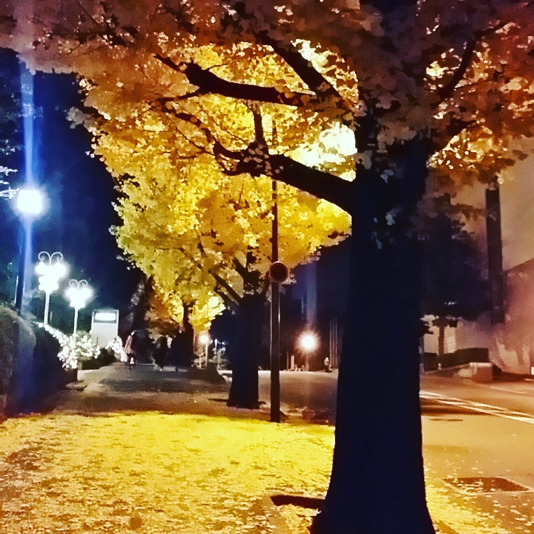 Thumb 36024848 7ec2 48cf bdcf ab5159539250