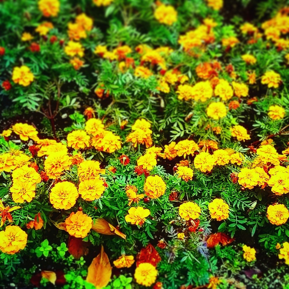 Thumb e04a025c dbce 4df8 b182 c1b06ba6cebb