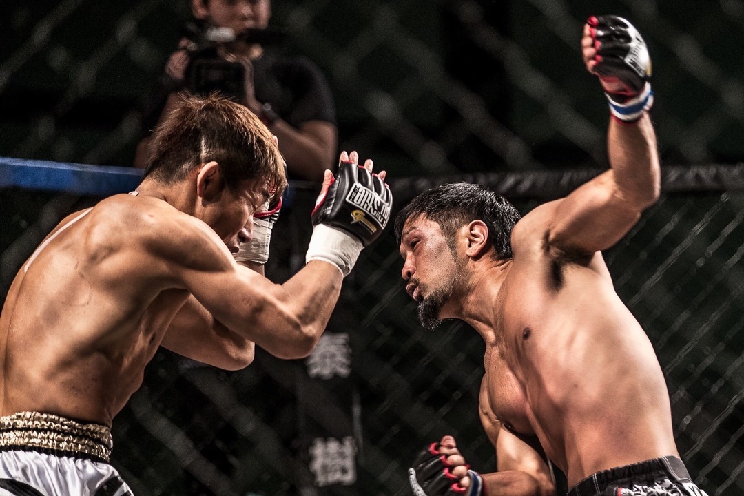 Thumb d19e1ab4 bde0 4f42 abc2 f68ef6246d26