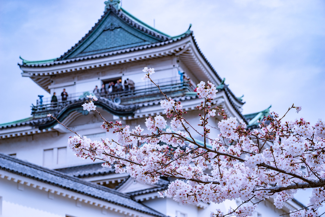 Thumb 3e6304d5 e441 447b b424 13166997226d