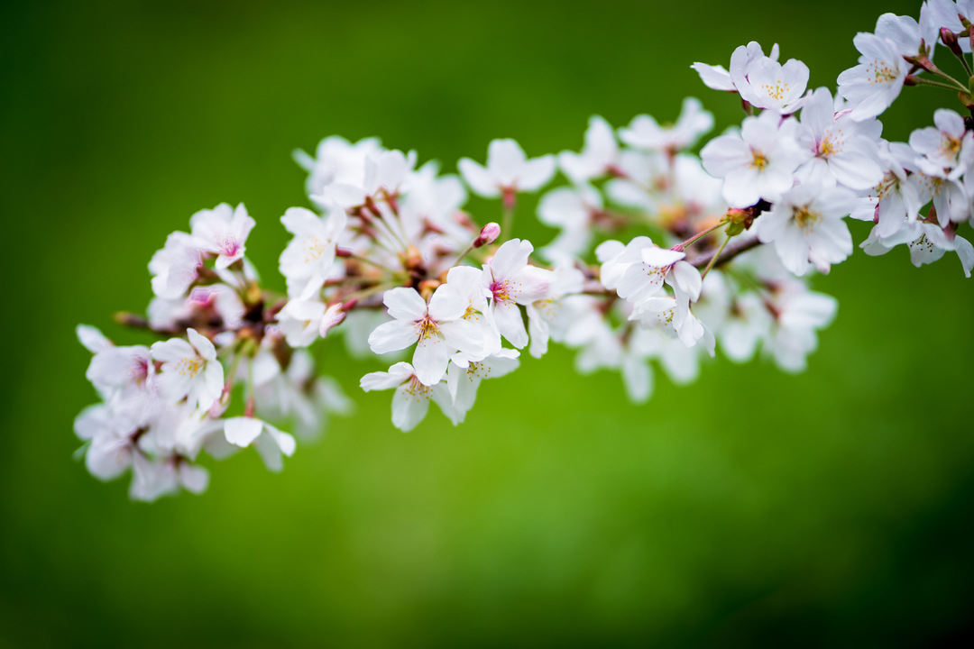 Thumb 28c8c046 21e2 4b67 93b7 227869e7d93b