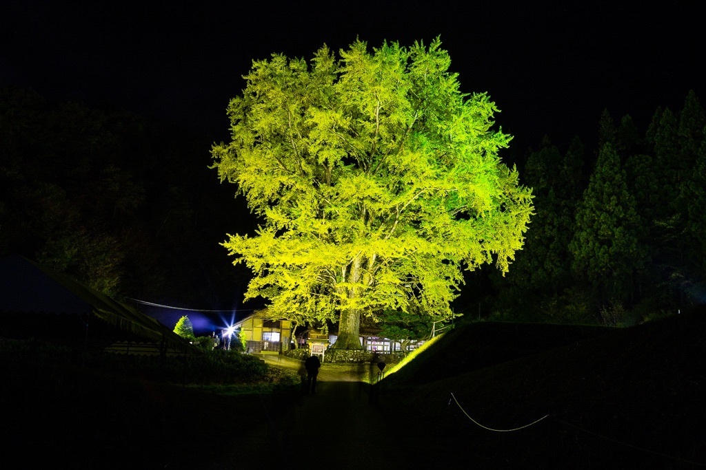 Thumb 4e34302d 868c 43d4 b24e fd2d83f43e7d