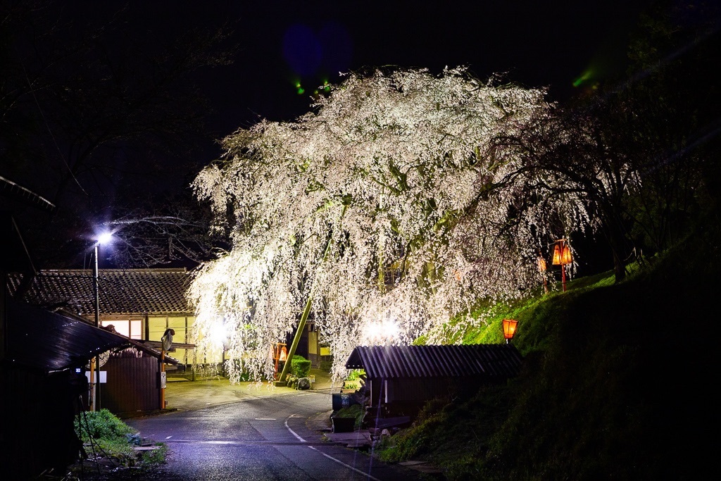 Thumb d42a4650 165a 45d9 b496 c79ad87d635e