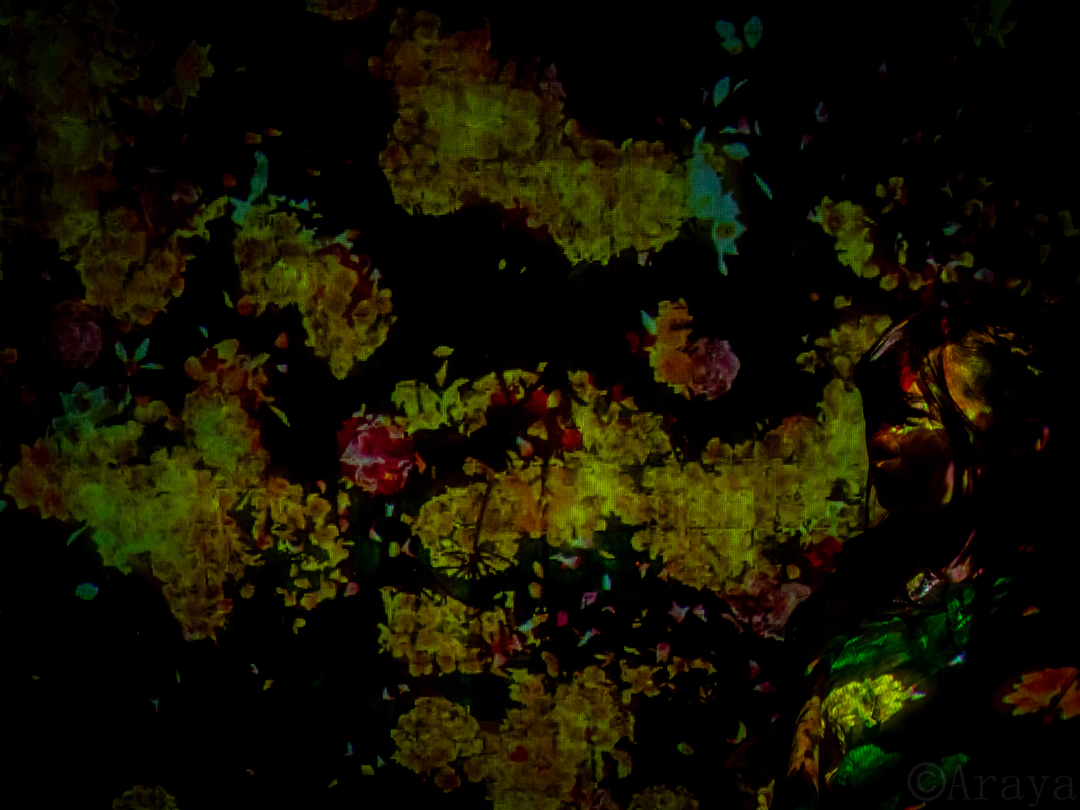 Thumb b8cba46a 9d51 4d4c 9fe4 783cf24dab78