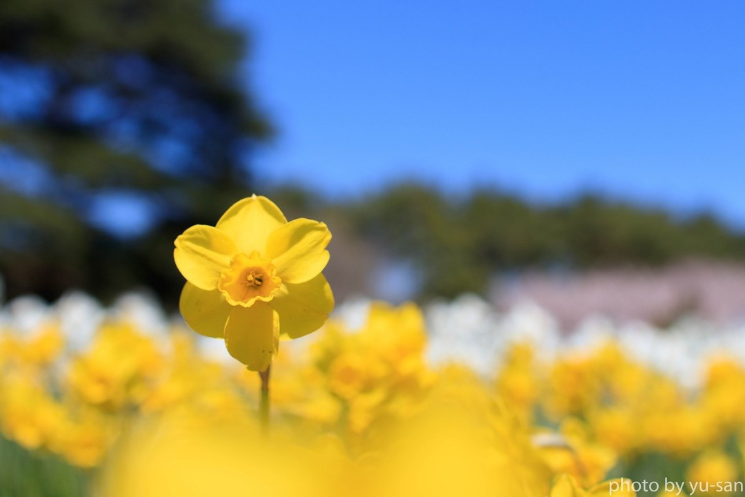 Thumb 7e37c559 dbaf 4641 98b6 9027a1efcd2c