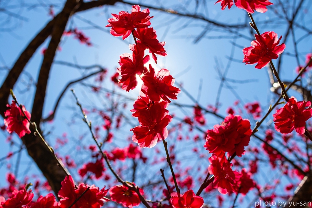 Thumb e01353dd 2938 4438 a6a1 c4c3d315a65c