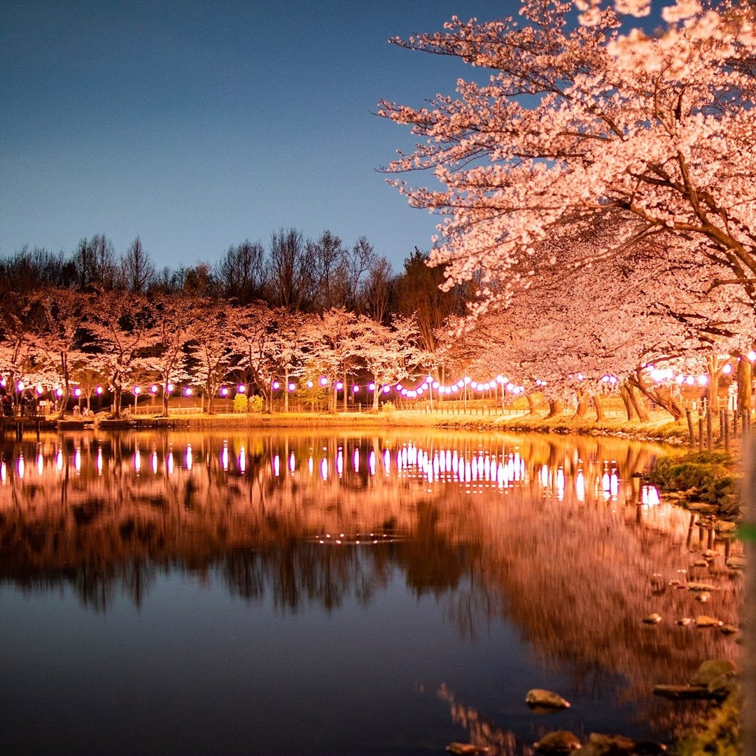 Thumb 26ec0832 5197 4970 ae6b be79a9ea17ef