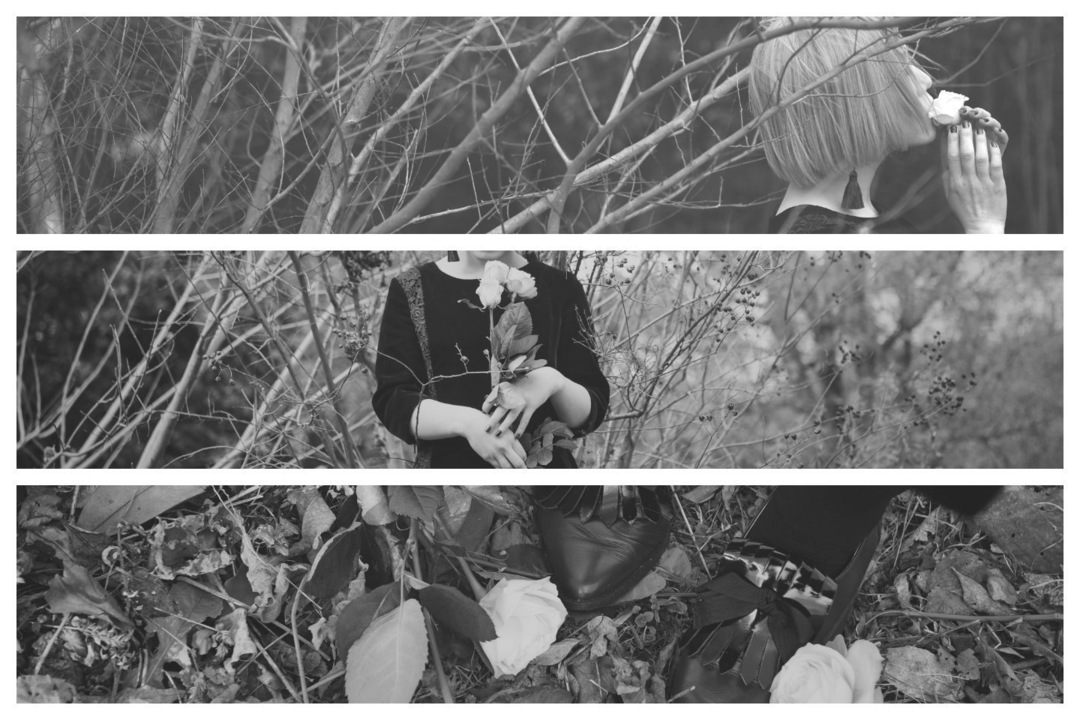 Thumb fad86d0e 5334 41cc bdc1 9ba7709eff7b