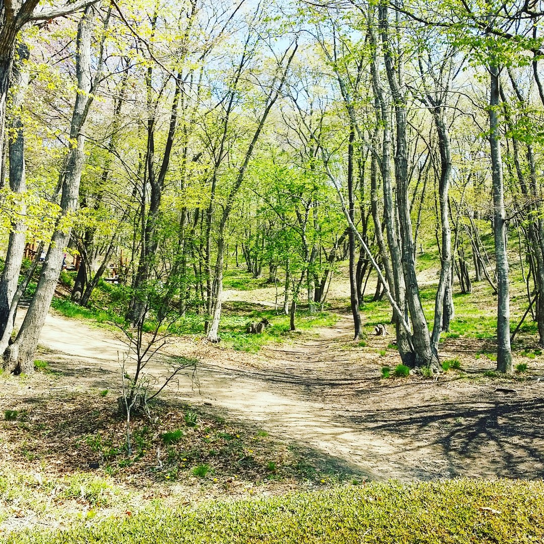 Thumb 6467f44b 8e47 4b7b b015 80ee63b3ed33