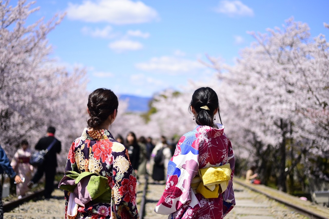 Thumb d2a3fb49 fc00 4d92 bf26 545df33762b6