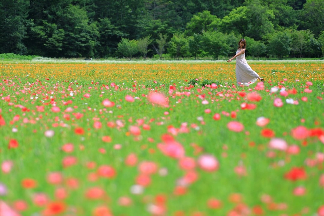 Thumb 71a8d6b8 d38f 47e2 94bf 26f8f72a6d03