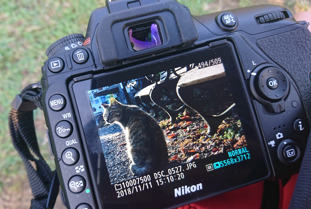 Thumb 3d9d2c62 fa48 497b 8735 5fc4aaf25640