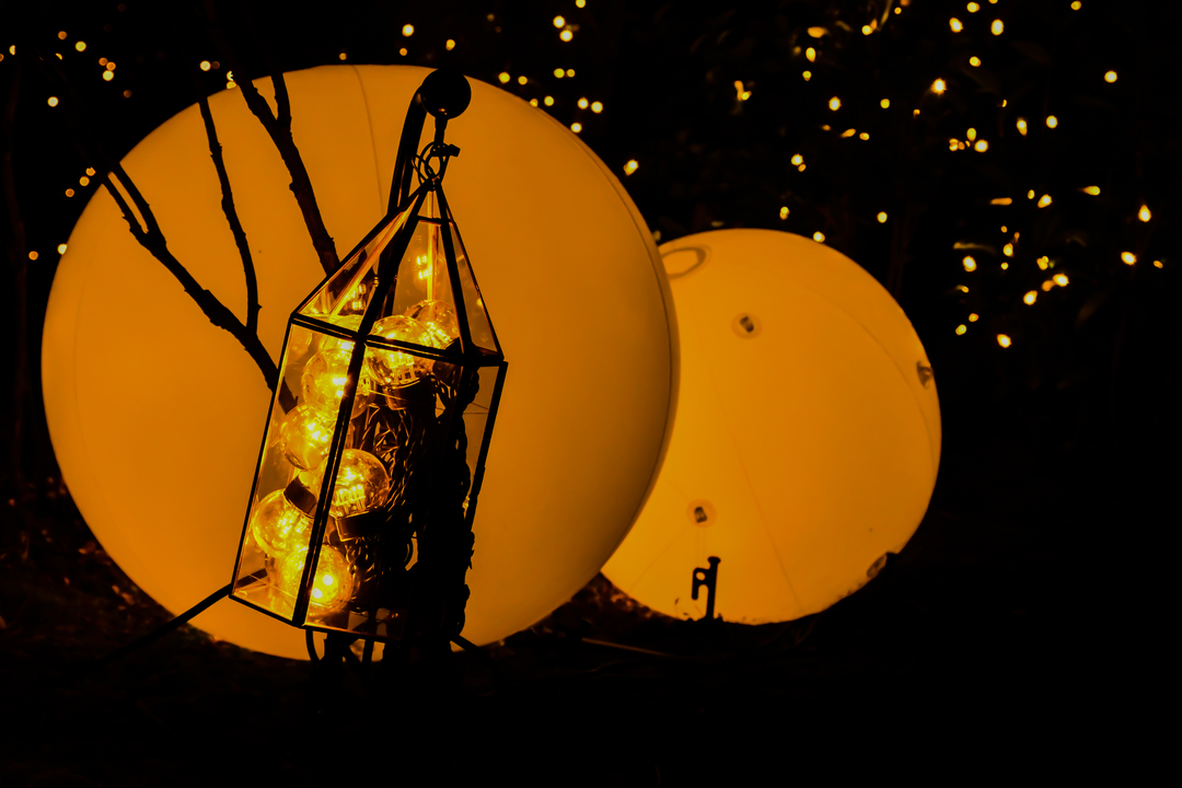 Thumb 1985262a f5ab 48c0 b3fe 401c618430cf