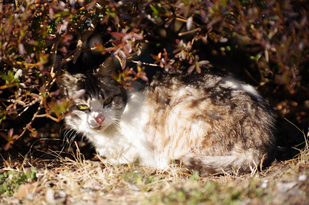 Thumb d8e4f849 7e4e 4853 af97 a2038ac648b4