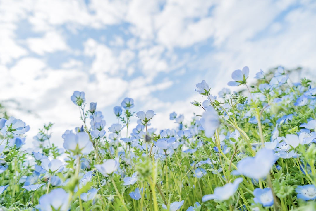 Thumb 6c7b1d07 8afc 494f 8389 cf9261fb60da