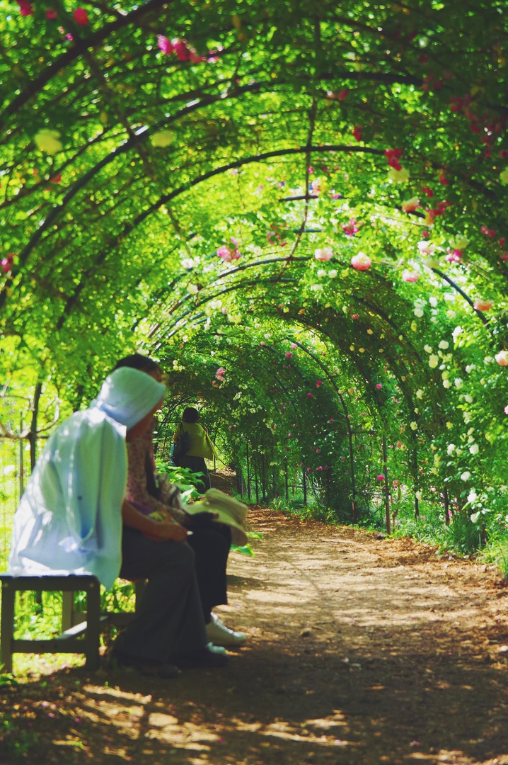 Thumb c609a0e0 dd97 450c ad08 bcab418a3dd5