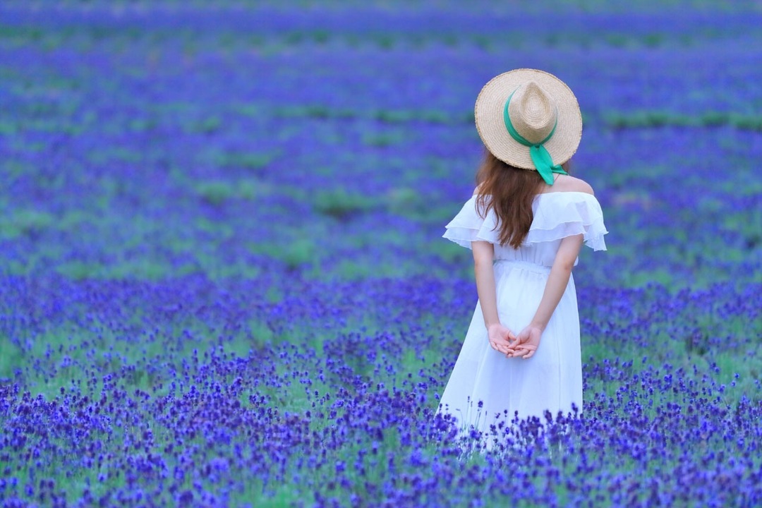 Thumb ab956212 8d8d 4f89 bc15 db935312b584