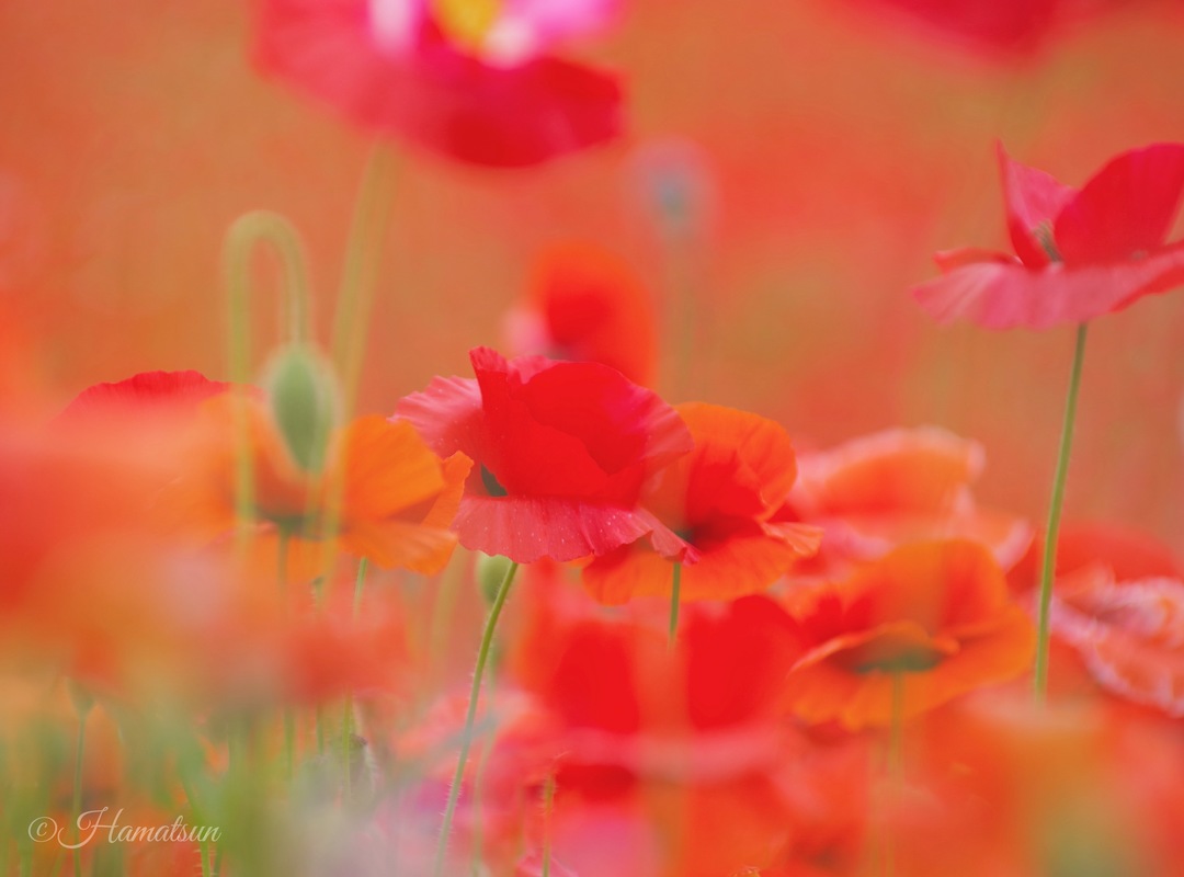 Thumb d1a4b2c8 8fbf 4dc7 8d19 3ae565dcf445