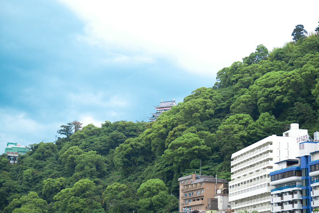 Thumb a6d99fec 721e 4670 96c2 f775579293c6