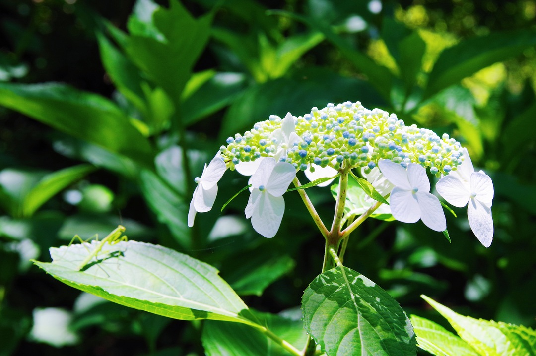 Thumb 06c1b538 4183 4d41 ad07 d5accbe6b013