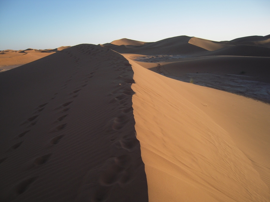 Thumb a52a48b8 25e5 44b9 860d 8b7667860795