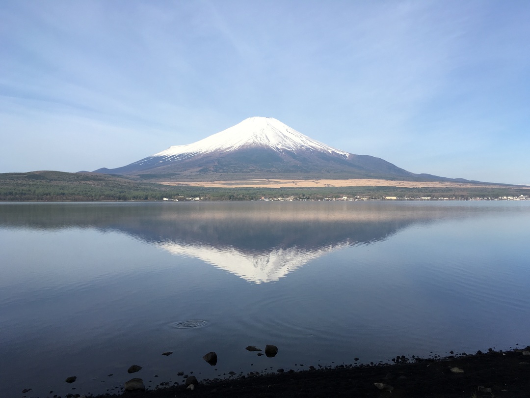 Thumb e283dd7f 5b50 447c a95d 5b8867ba3832