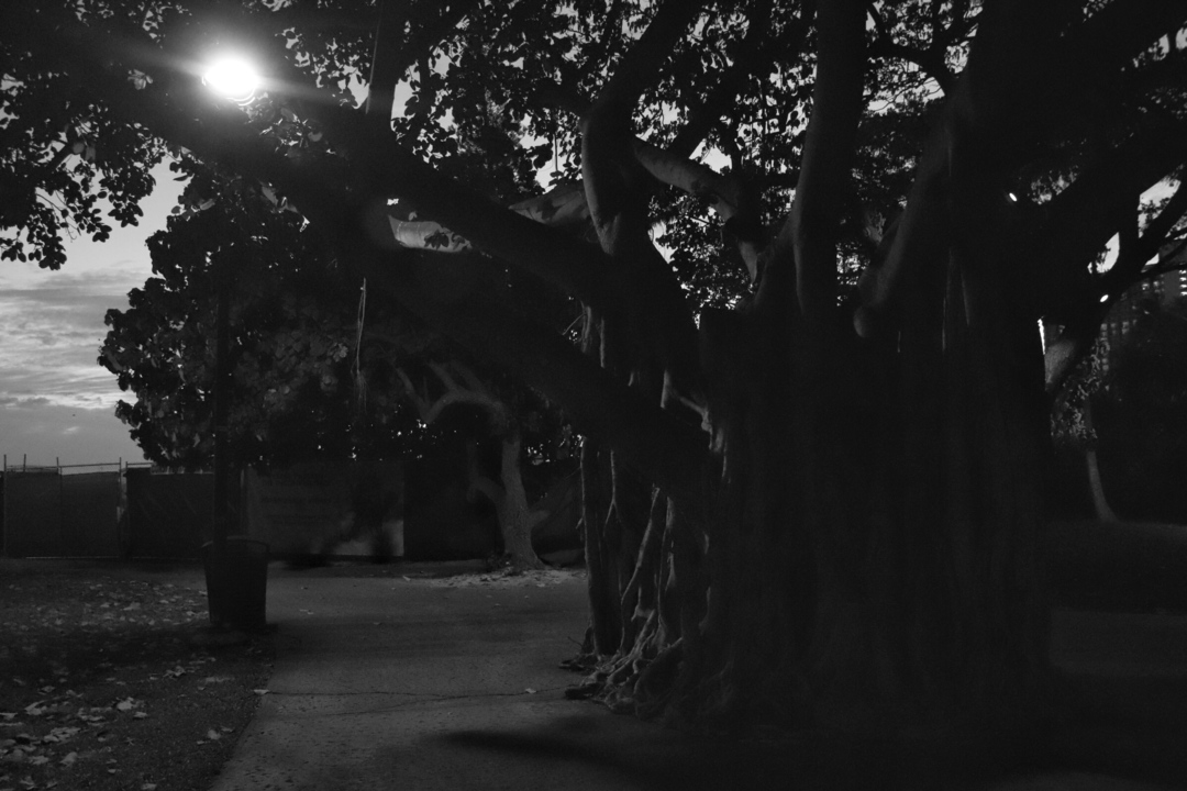 Thumb 55867d78 66df 4a2f 80bc a21df5e0ce69