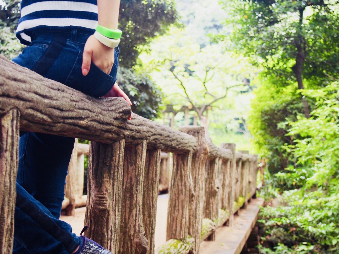 Thumb 4547fd48 b79e 43a0 acaf 8df6ea045479