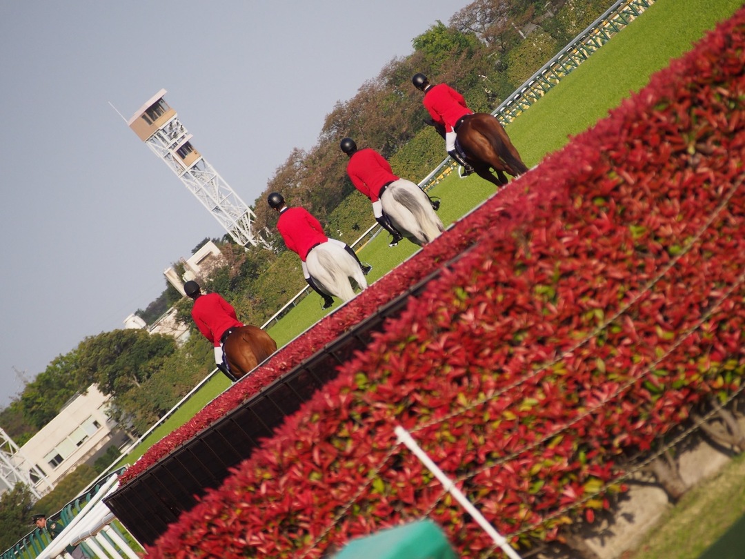 Thumb f66338a3 48ef 4a5b 9f99 0bbc03595a44