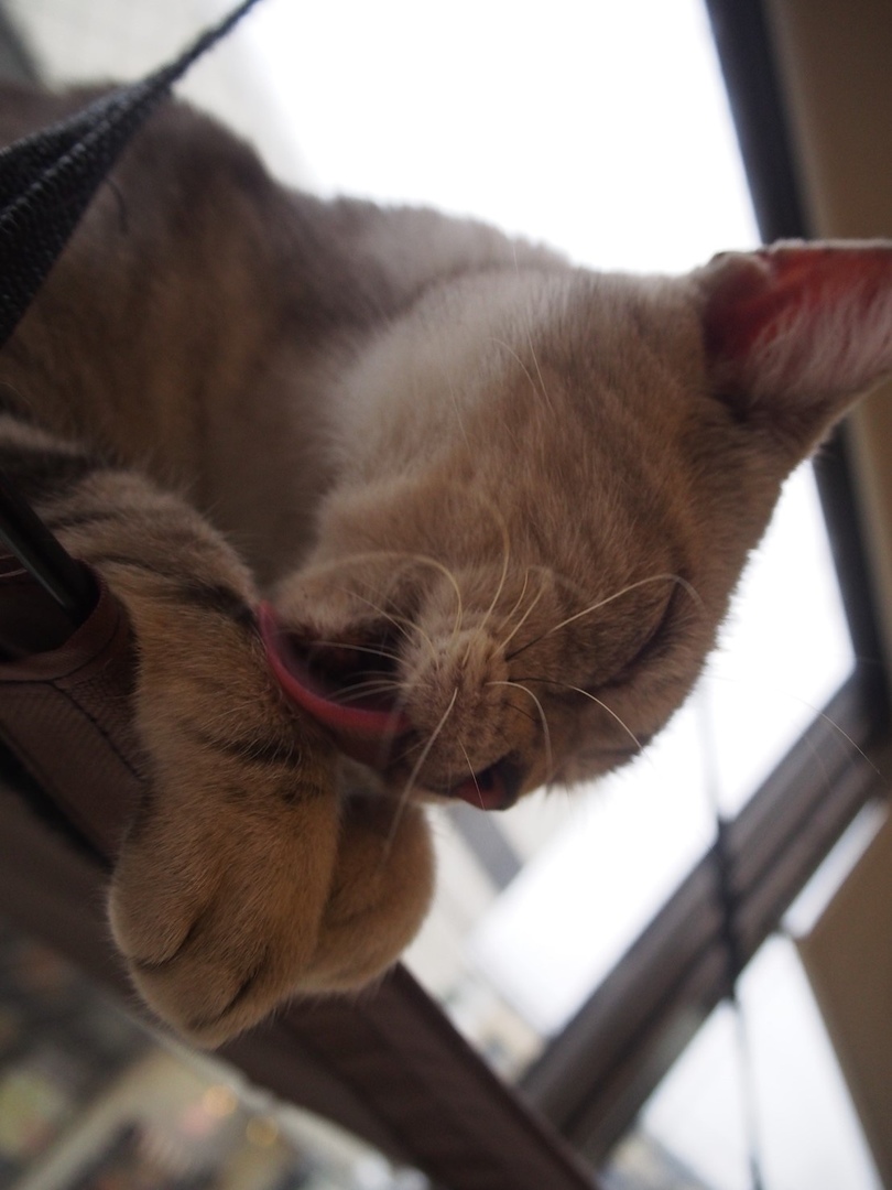 Thumb b9c46a1e 47d7 412d be11 6372dcd97f19