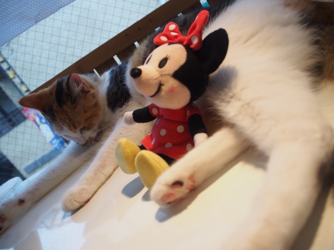 Thumb 6445c9e7 6237 4e38 8025 5679478ad9bc