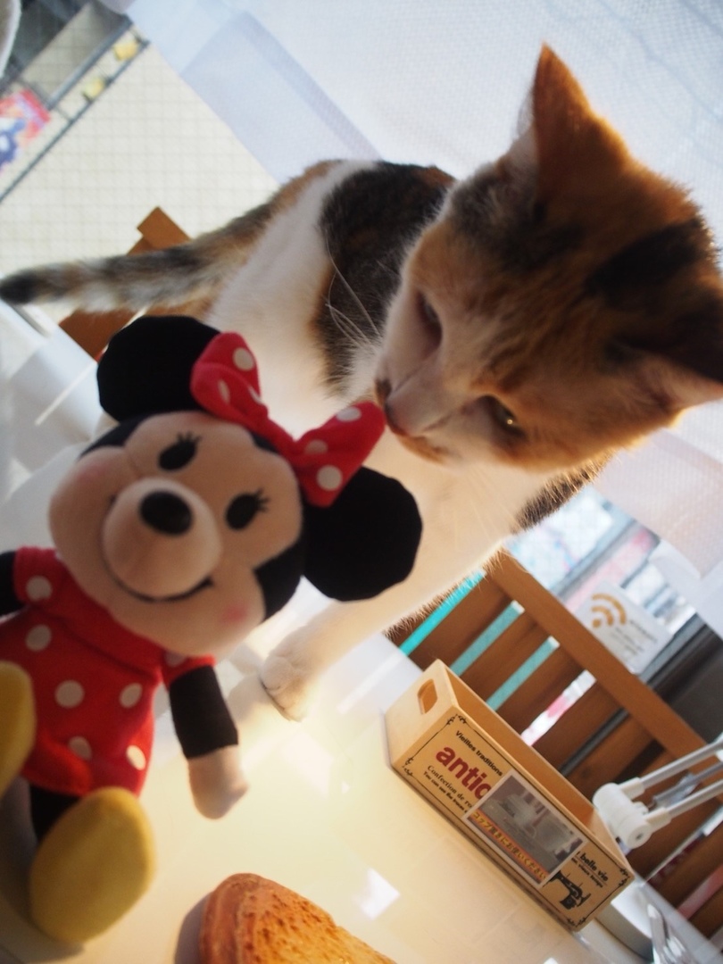 Thumb cd735196 d06b 463b b3c8 cd616c6fbb03