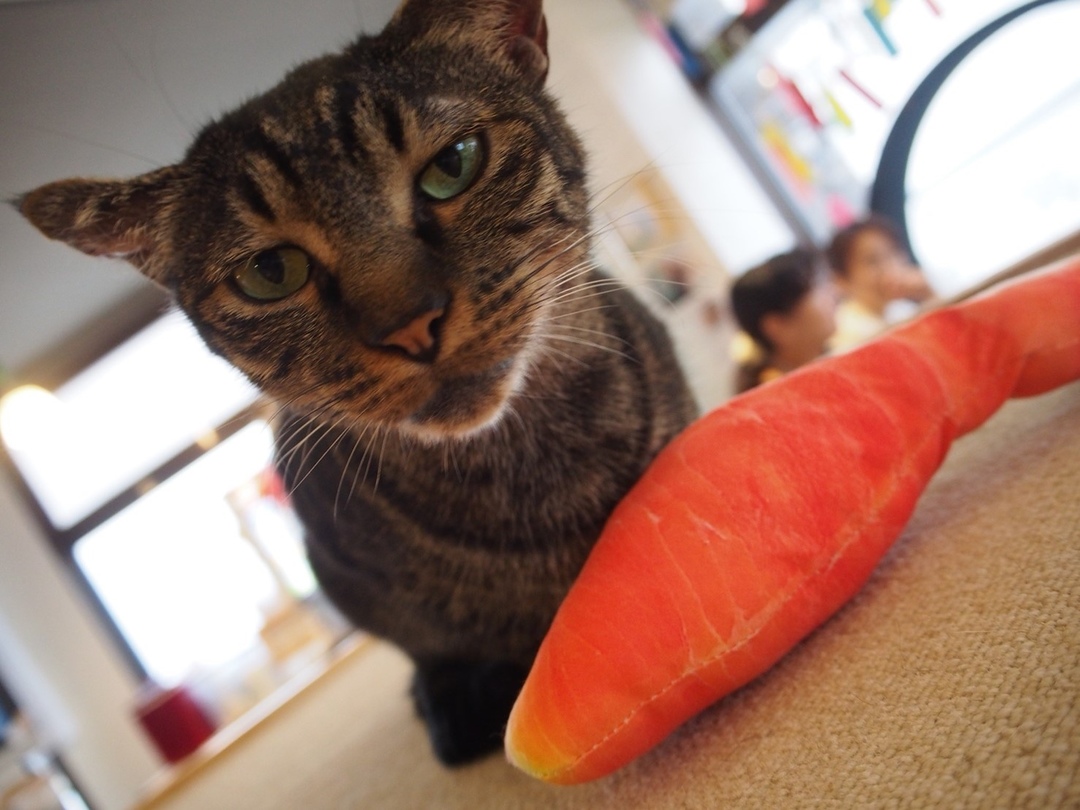 Thumb 31d0ffe0 0f8d 4b80 8a70 16c0526973f9