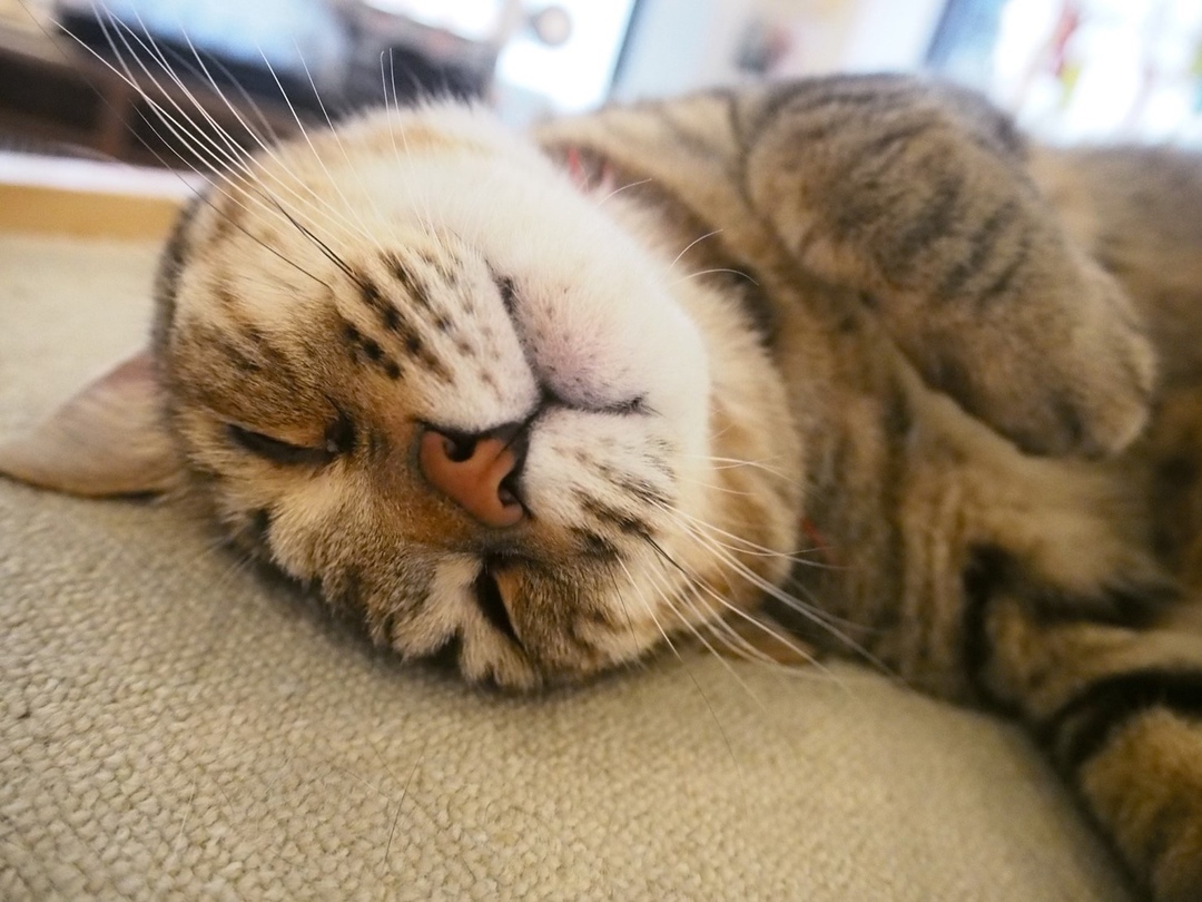 Thumb ccaa8a96 dc70 49e2 937d a1c802611345