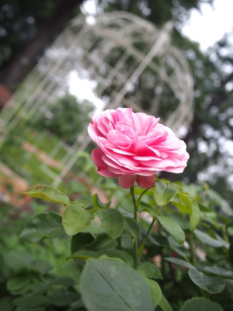 Thumb 3f47155a b954 4955 991d c5d47a15a49e