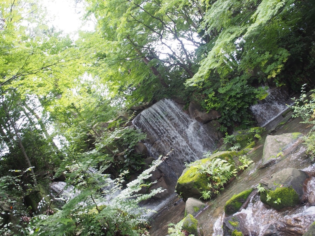 Thumb 04dbfca1 74e5 4322 820d 0ffbc7fb023e