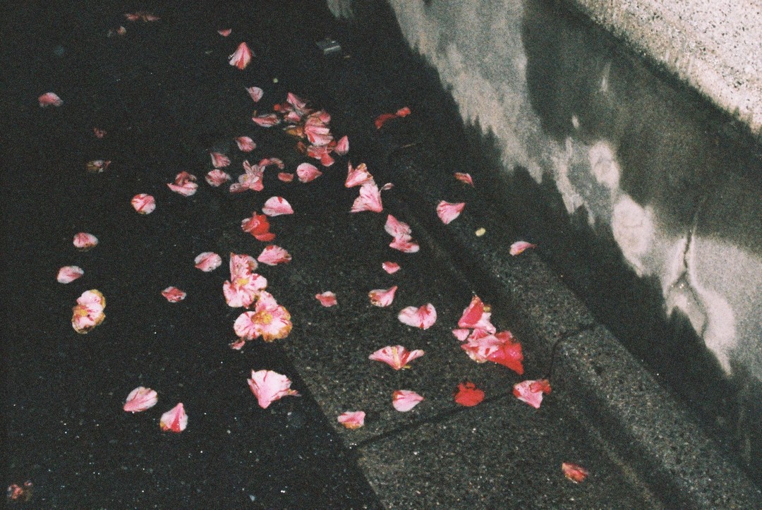 Thumb f50c09a2 618b 4599 8c23 0ee1049dfe9c